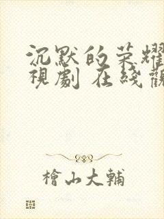 沉默的荣耀 电视剧 在线观看