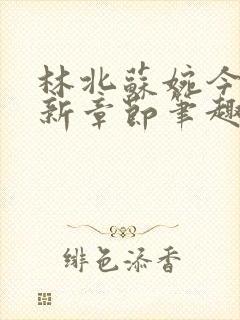 林北苏婉今天最新章节笔趣阁