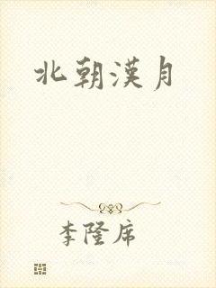 北朝汉月封面