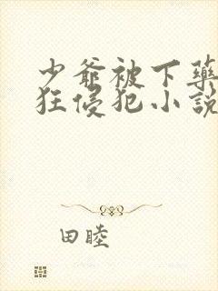 少爷被下药后疯狂侵犯小说