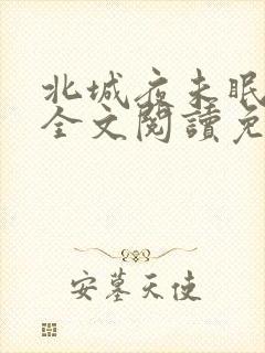 北城夜未眠小说全文阅读免费