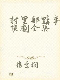 村里那点事儿电视剧全集封面
