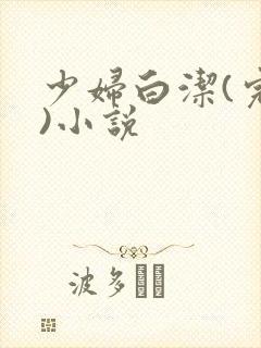 少妇白洁(完整)小说