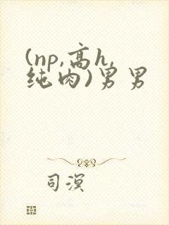(np,高h,纯肉)男男