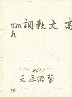 sm调教文 高h封面