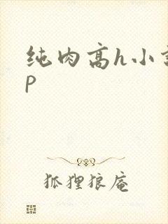 纯肉高h小说np