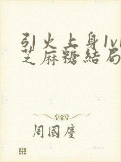 引火上身1v1芝麻糖结局封面