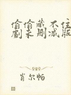 偷偷藏不住广播剧未删减版封面