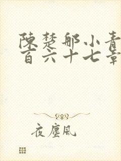 陈楚那小青第三百六十七章在线阅读