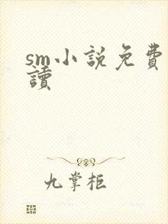 sm小说免费阅读