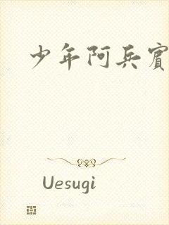 少年阿兵宾封面