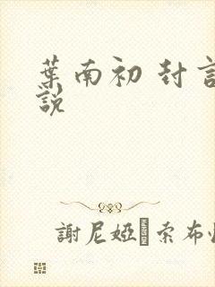 叶南初 封言小说封面