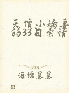 天价小娇妻总裁的33日索情