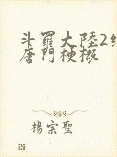 斗罗大陆2绝世唐门梗概