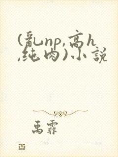 (乱np,高h,纯肉)小说