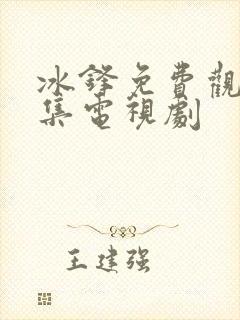 冰锋免费观看全集电视剧封面