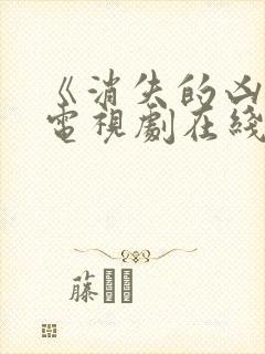 《消失的凶手》电视剧在线观看封面