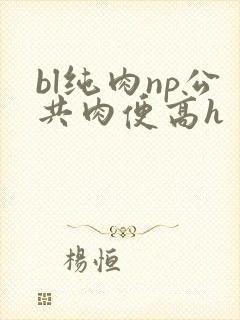 bl纯肉np公共肉便高h