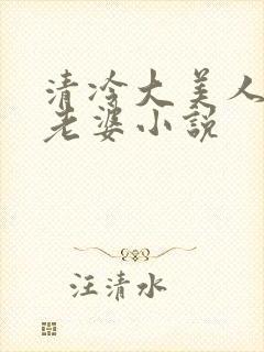 清冷大美人是我老婆小说封面