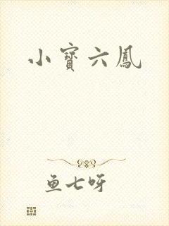 小宝六凤