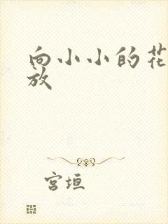 向小小的花蕾绽放封面