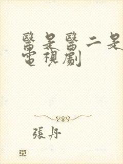 医是医二是二 电视剧封面