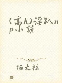 (高h)淫趴np小说