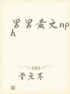 男男黄文np高h封面
