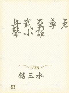 丹武至尊免费有声小说