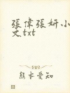 张伟张妍小说全文txt封面