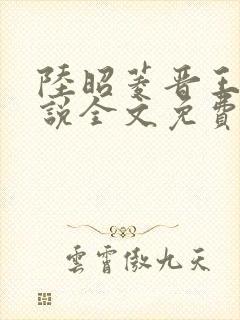 陆昭菱晋王的小说全文免费阅读