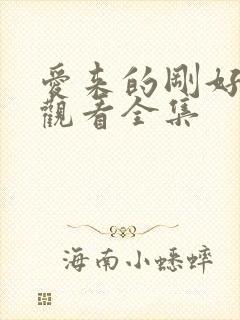 爱来的刚好免费观看全集