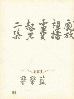 二叔电视剧38集免费播放封面