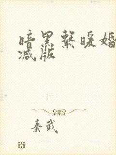 暗黑系暖婚未删减版