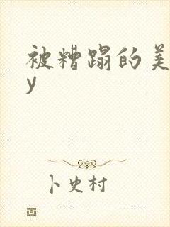 被糟蹋的美人by封面