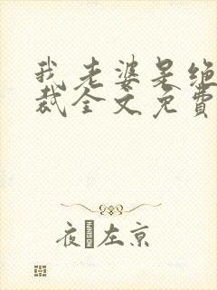 我老婆是绝色总裁全文免费阅读