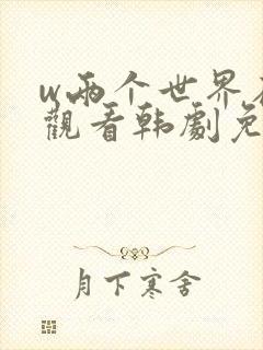 w两个世界在线观看韩剧免费封面