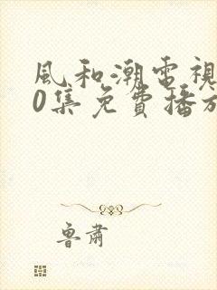 风和潮电视剧40集免费播放