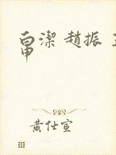 白洁 赵振 王申