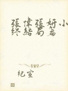 张伟张妍小说的终结局篇