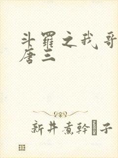 斗罗之我哥哥是唐三