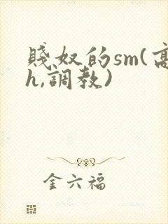 贱奴的sm(高h,调教)