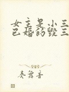 女主是小三男主已婚的毁三观小说