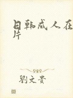 日韩成人在线毛片