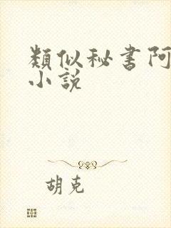类似秘书阿蛮的小说