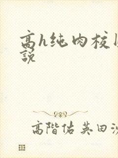 高h纯肉校园小说