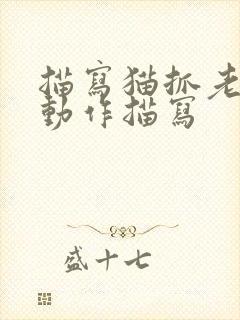 描写猫抓老鼠的动作描写