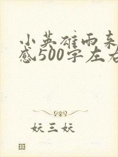 小英雄雨来读后感500字左右