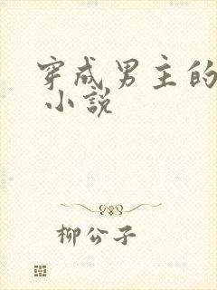 穿成男主的后妈 小说封面