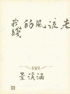 我的风流老婆在线封面